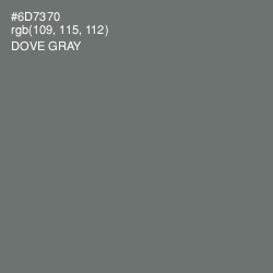 #6D7370 - Dove Gray Color Image